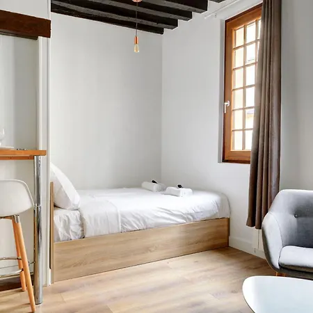 Apartment Luminous Flat In Le Marais